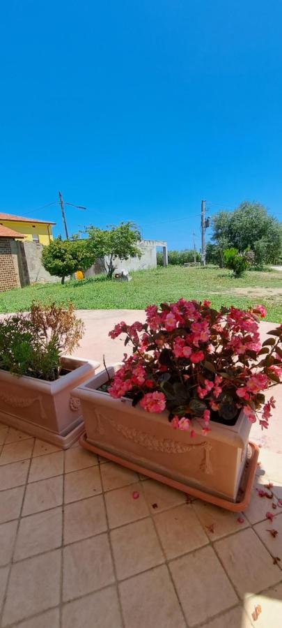B & B Le Tre Rose Tollo Exterior photo